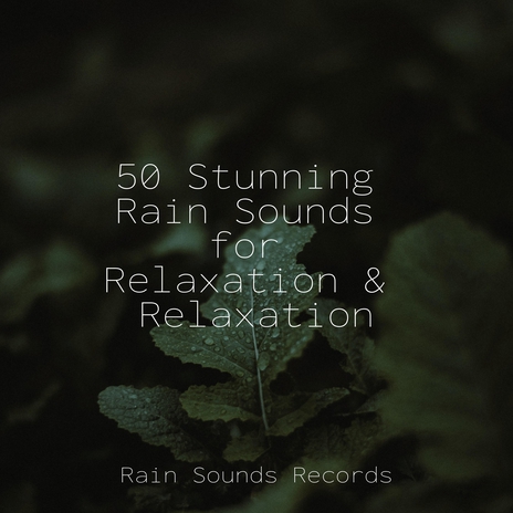 Embers' Dance Amongst Trees ft. Musica Relajante Specialistas & Musica Relajante & Rising Higher Meditation | Boomplay Music