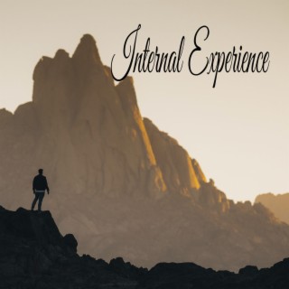 Internal Experience