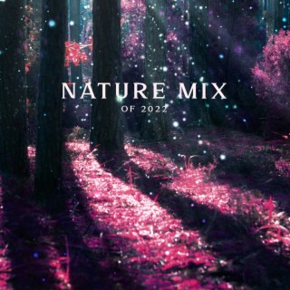 Nature Mix of 2022 for Meditation, Relaxation, Sleep, Spa and Study