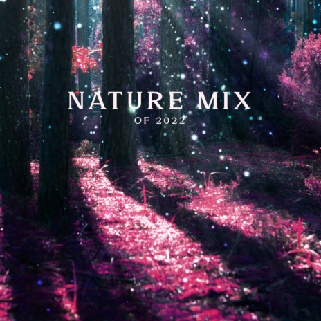Nature Mix Music 2022 | Boomplay Music
