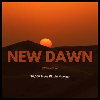 New Dawn (Unshaken) ft. Lin Njoroge lyrics | Boomplay Music