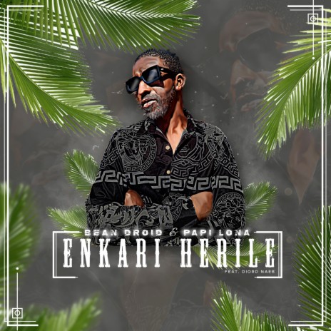 Enkari Herile ft. Papi Lona & Diord Naeb | Boomplay Music