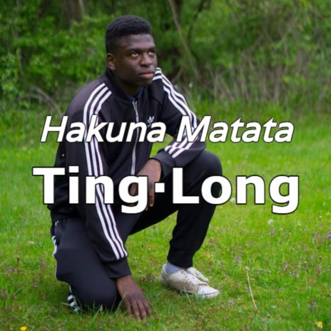 Ting·Long | Boomplay Music