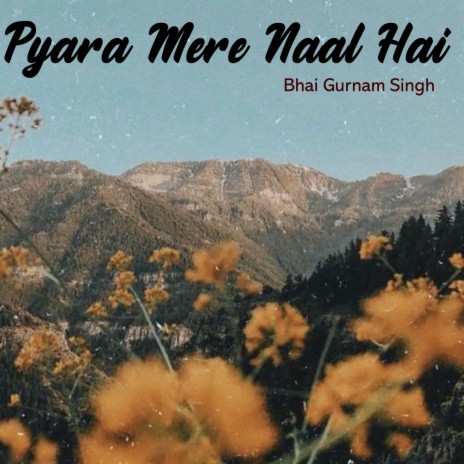 Pyara Mere Naal Hai | Boomplay Music