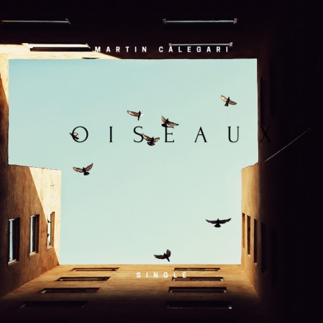 Oiseaux