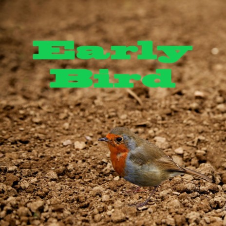 Early Bird (instrumental) | Boomplay Music
