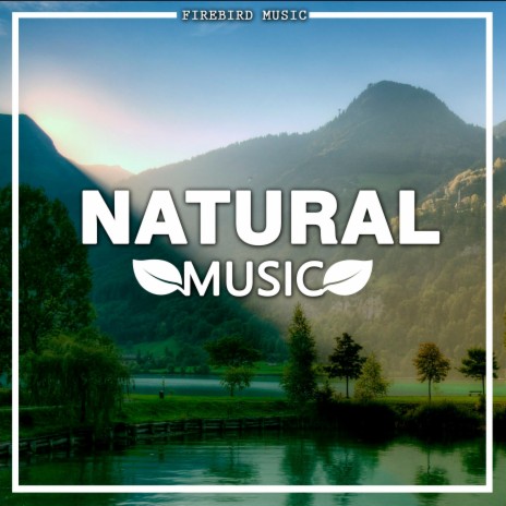 NATURAL MUSIC | Boomplay Music