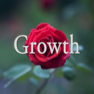 Growth (instrumental)