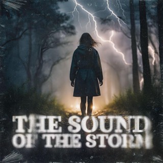 THE SOUND OF THE STORM