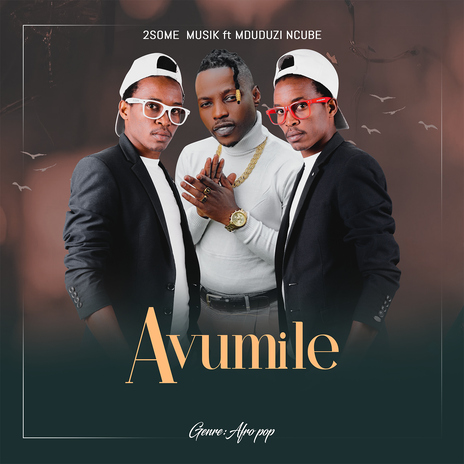 Avumile (feat. Mduduzi Ncube) | Boomplay Music