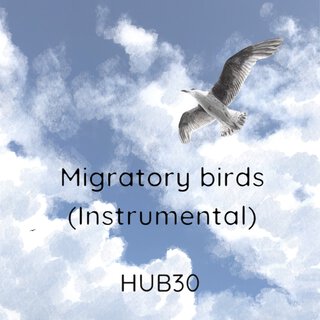 Migratory Birds (Instrumental)