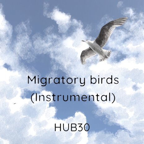 Migratory Birds (Instrumental) | Boomplay Music