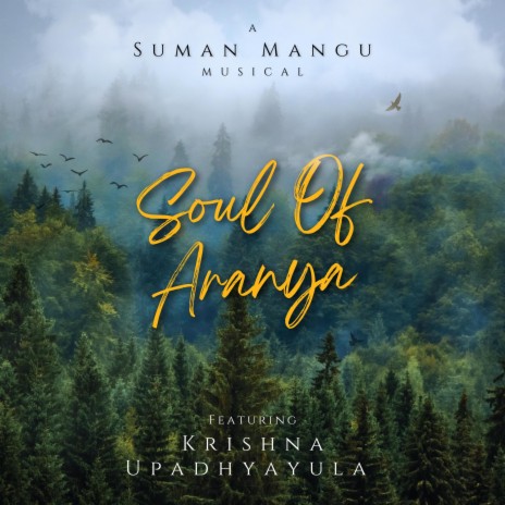 Soul Of Aranya ft. Krishna Upadhyayula | Boomplay Music