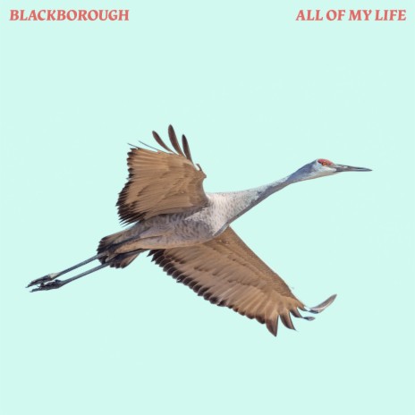All of my life | Boomplay Music