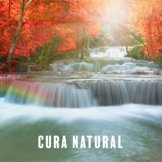 Cura Natural: Música de Cura Relaxante e Sons da Natureza para Reiki, Sono Profundo, Estudo