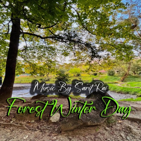 Forest Winter Day | Boomplay Music