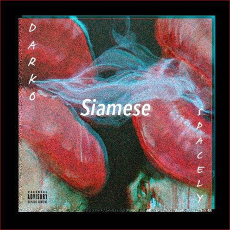 Siamese (feat. $pacely) | Boomplay Music