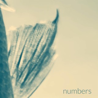 Numbers