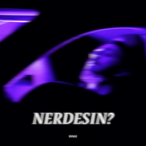 NERDESIN? | Boomplay Music