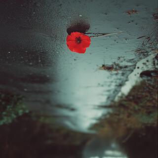 Red Wildflower lyrics | Boomplay Music