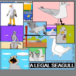 A Legal Seagull