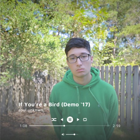 If You're a Bird (Demo '17) | Boomplay Music