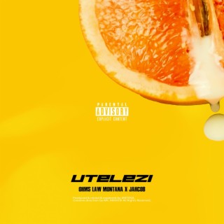 UTELEZI ft. Ohms Law Montana lyrics | Boomplay Music