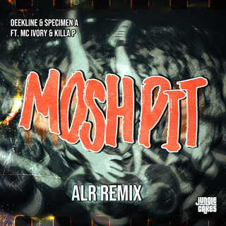 Mosh Pit (ALR Remix)