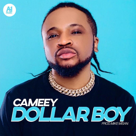 Dollar Boy | Boomplay Music