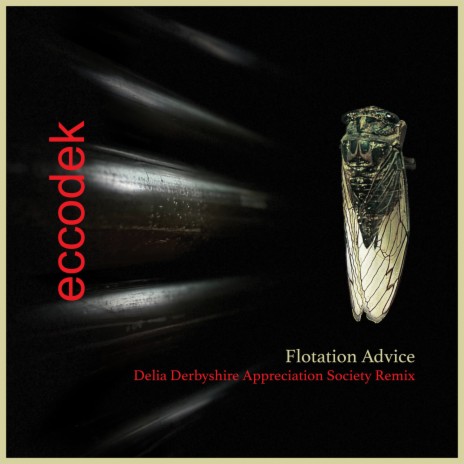 Flotation advice (Delia Derbyshire Appreciation Society Remix) ft. Peppermoth feat. Onkar Singh | Boomplay Music