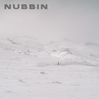 Nubbin