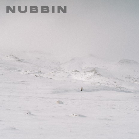 Nubbin | Boomplay Music