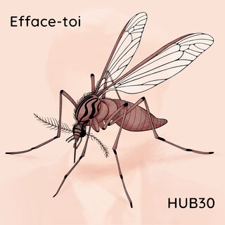 Efface-toi