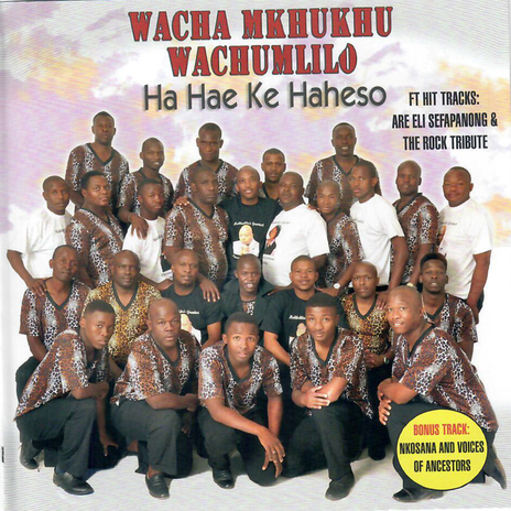 Bare Konyana Re Tshwarele | Boomplay Music