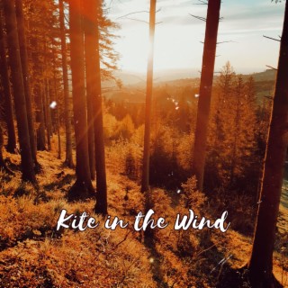 Kite in the Wind lyrics | Boomplay Music