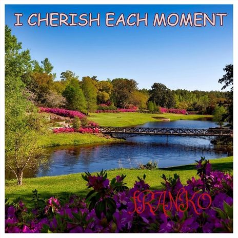 I Cherish Each Moment | Boomplay Music