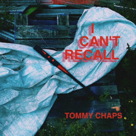 I CAN'T RECALL | Boomplay Music