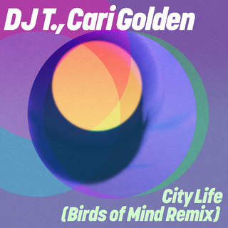 City Life (Birds of Mind Remix)