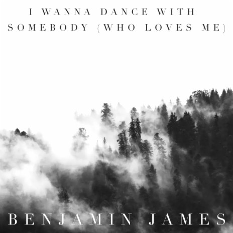 I Wanna Dance With Somebody (Who Loves Me)
