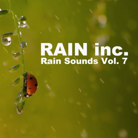 Rain In Swedish Forest | Boomplay Music