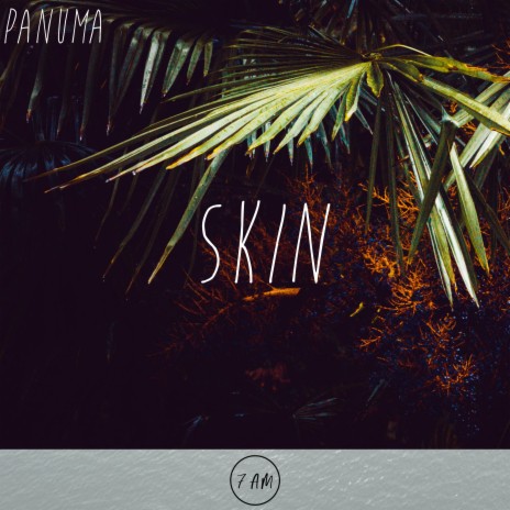 Skin | Boomplay Music