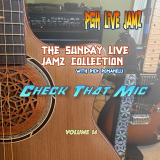 Check That Mic (Volume 14 from The Sunday LiveJamz Collection)