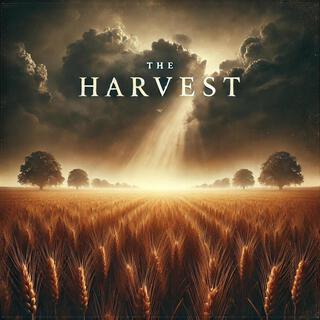 The Harvest lyrics | Boomplay Music