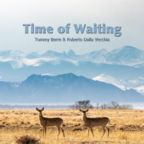 Time of Waiting ft. Roberto Dalla Vecchia | Boomplay Music