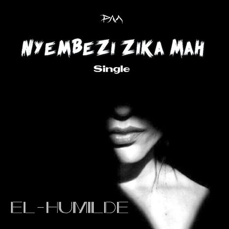 Nyembezi Zika Mah | Boomplay Music