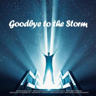 Goodbye to the Storm
