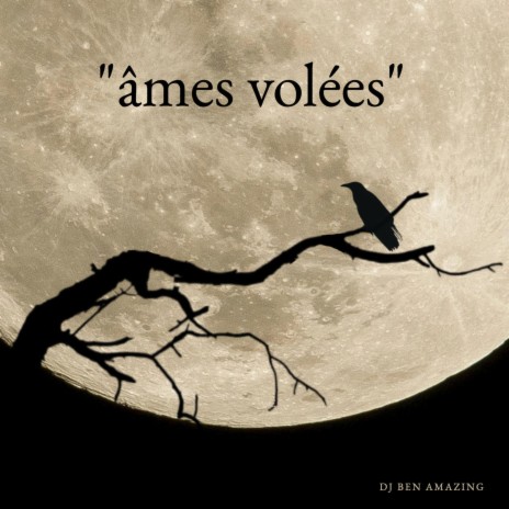 ames volees | Boomplay Music