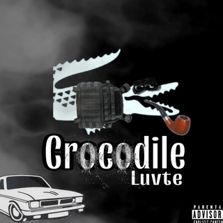 Crocodile