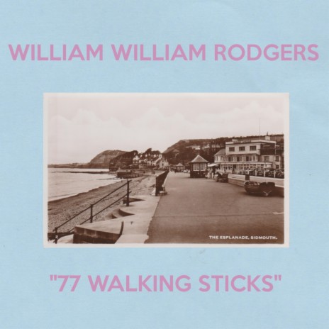77 Walking Sticks