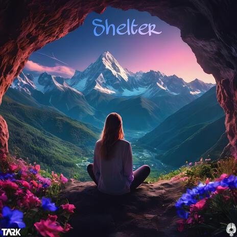 Shelter ft. OWTLET | Boomplay Music